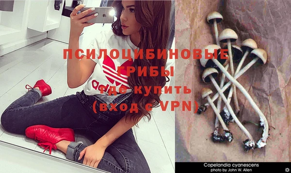 героин Осташков