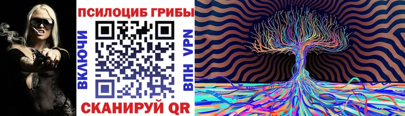Псилоцибиновые грибы Magic Shrooms  продажа наркотиков  Узловая 